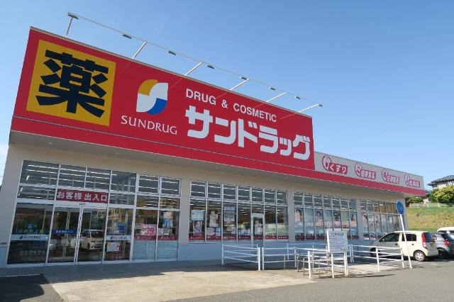 ドラッグストア