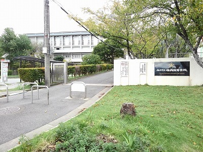 高校