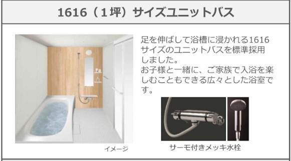 バス