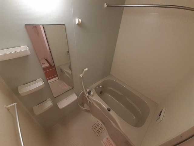 バス